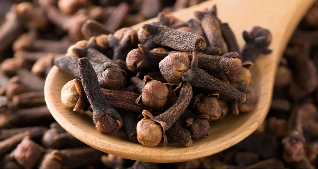  شاخص (81)