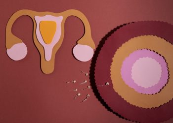 عکس گرافیکی رحم و تخمدان که اسپرم به سمت آن میرود